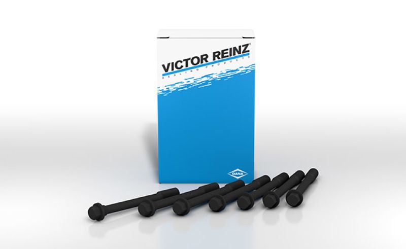 Victor Reinz Cylinder Head Bolts GS33427 Image 1