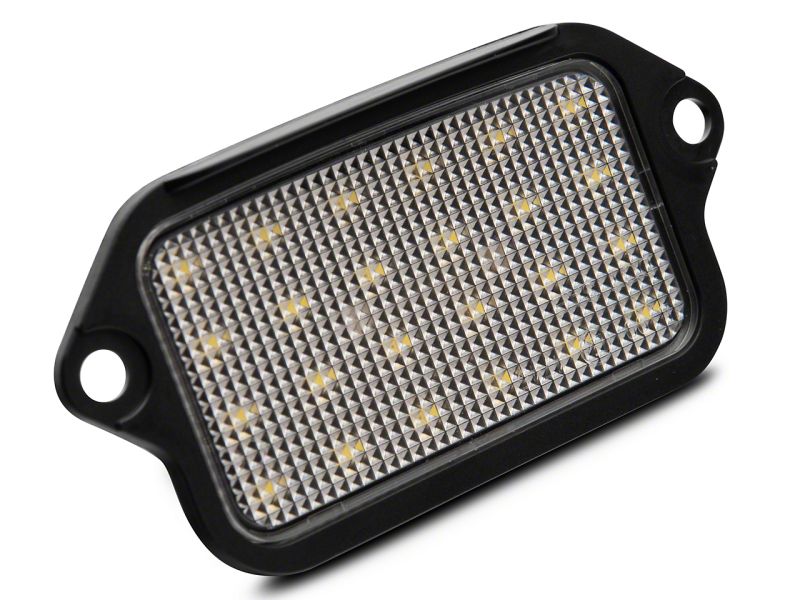 Raxiom License Plate Bulbs 413032 Image 1