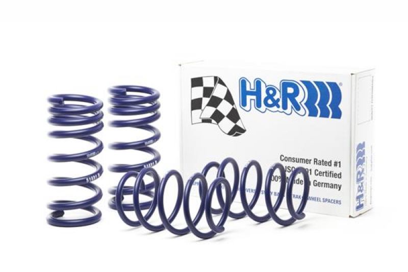 H&R Sport Springs 51691 Image 1