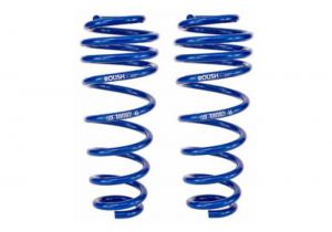 Roush Coil Springs 401295