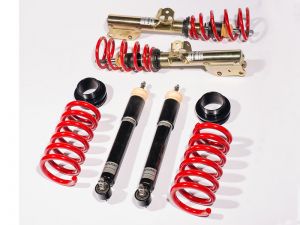 Roush Coilovers 421839
