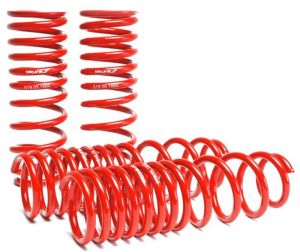 Skunk2 Racing Lowering Springs 519-05-1660