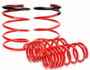 Skunk2 Racing Lowering Springs 519-05-1672