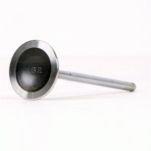 Skunk2 Racing Alpha Valves 310-05-1310