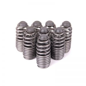 Skunk2 Racing Tuner Valve Springs 312-05-0200