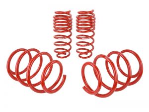 Skunk2 Racing Lowering Springs 519-05-1775