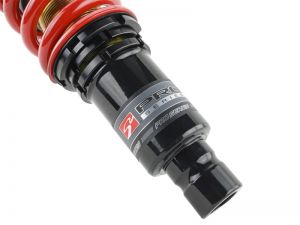 Skunk2 Racing Pro-ST Coilovers 541-05-8715
