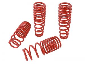 Skunk2 Racing Lowering Springs 519-05-1550