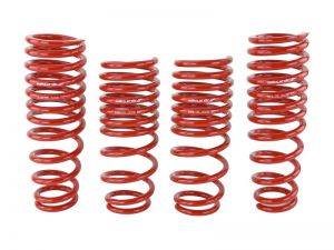 Skunk2 Racing Lowering Springs 519-05-1550