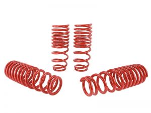 Skunk2 Racing Lowering Springs 519-05-1550