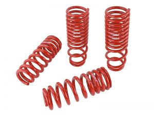 Skunk2 Racing Lowering Springs 519-05-1640
