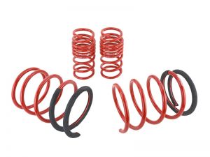 Skunk2 Racing Lowering Springs 519-05-1672