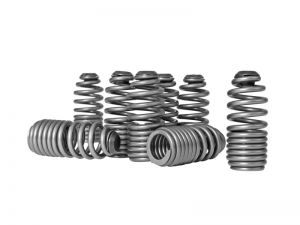 Skunk2 Racing Tuner Valve Springs 312-05-0200