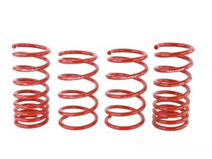 Skunk2 Racing Lowering Springs 519-12-1001