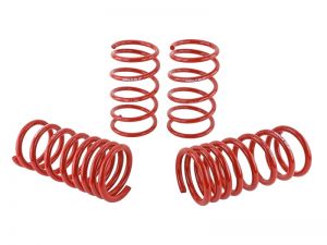 Skunk2 Racing Lowering Springs 519-12-1001