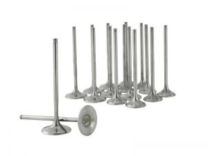 Skunk2 Racing Ultra Valves 310-05-9310