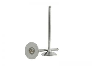 Skunk2 Racing Ultra Valves 310-05-9535