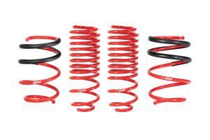 Eibach Sportline Springs E20-40-036-02-22
