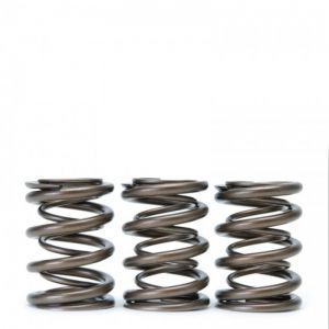 Skunk2 Racing Tuner Valve Springs 311-05-1350