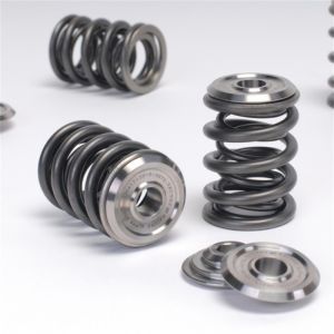 Skunk2 Racing Alpha Spring/Retainer Kit 344-05-1410