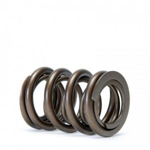 Skunk2 Racing Tuner Valve Springs 311-05-1360