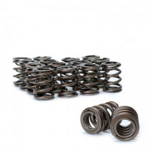 Skunk2 Racing Tuner Valve Springs 311-05-1380