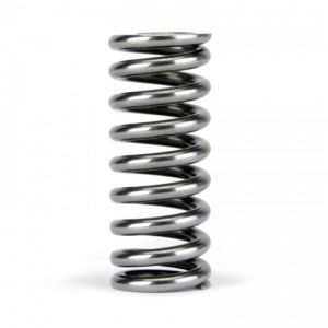 Skunk2 Racing Tuner Valve Springs 311-05-1345