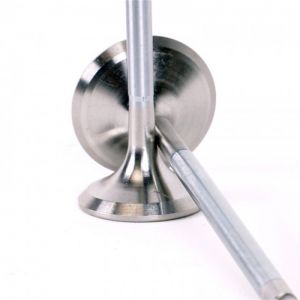 Skunk2 Racing Alpha Valves 310-05-1400