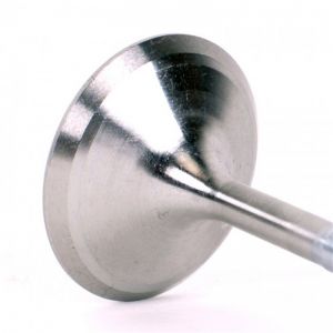 Skunk2 Racing Alpha Valves 310-05-1400