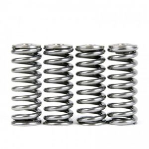 Skunk2 Racing Alpha Spring/Retainer Kit 344-05-1350