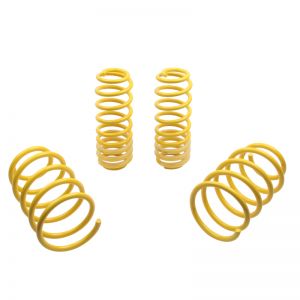 ST Suspensions Lowering Springs 65627