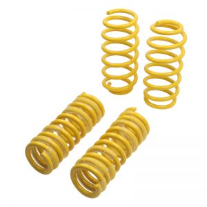 ST Suspensions Lowering Springs 65503