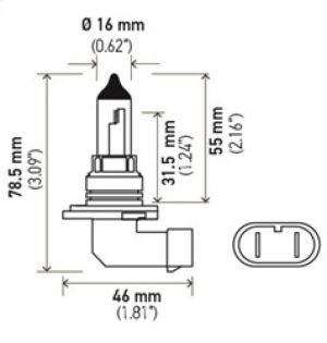 Hella Halogen Bulb H71071432