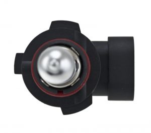 Hella Halogen Bulb H71071252