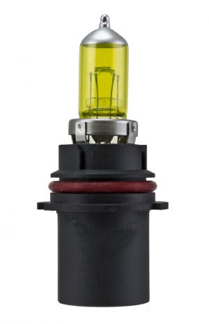 Hella Bulbs H71070562