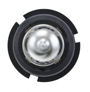 Hella Bulbs H71070622