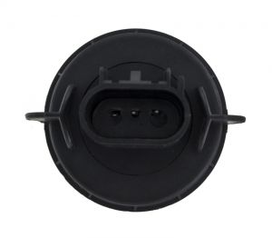 Hella Bulbs H71071152