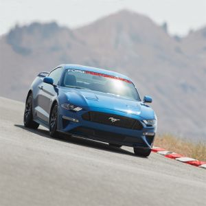 Ford Racing Banners M-1820-MR