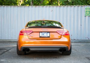 AWE Tuning Cat-Back Track 3010-43046