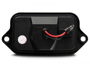 Raxiom License Plate Bulbs 413032