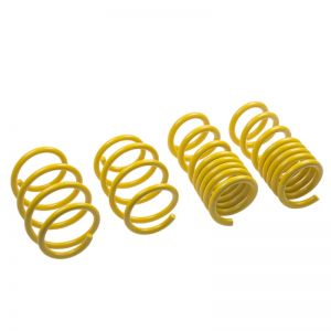 ST Suspensions Lowering Springs 28230052