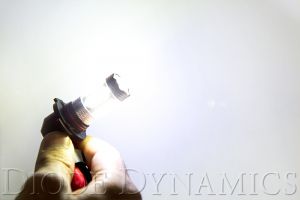 Diode Dynamics Replacement Bulbs DD0156P