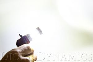 Diode Dynamics Replacement Bulbs DD0142P