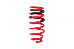 Eibach Pro-Kit Springs E10-27-004-01-22
