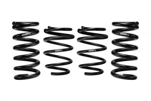 Eibach Pro-Kit Springs E10-35-029-10-22
