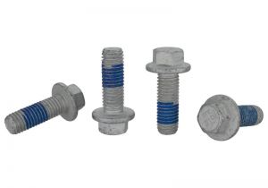 Ford Racing Brake Shields M-20045-MSVT