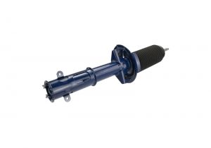 Ford Racing Shocks M-18001-AF
