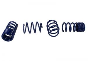 Ford Racing Spring Kits M-5300-W