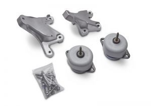 Ford Racing Engine Mounts M-6038-M50