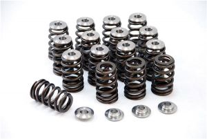 GSC Power Division Valve Spring Kits 5042